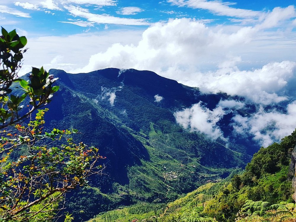 THE CEYLON HILL ESCAPE