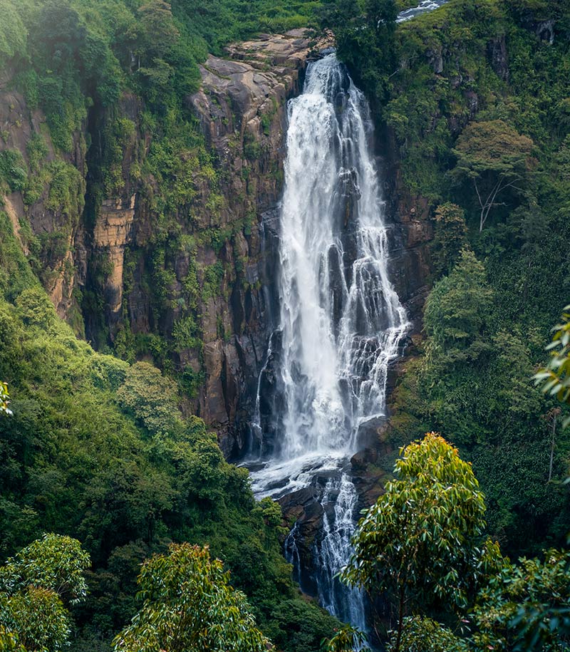 THE CEYLON HILL ESCAPE