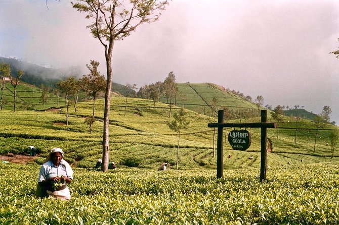 CEYLON EXPLORER