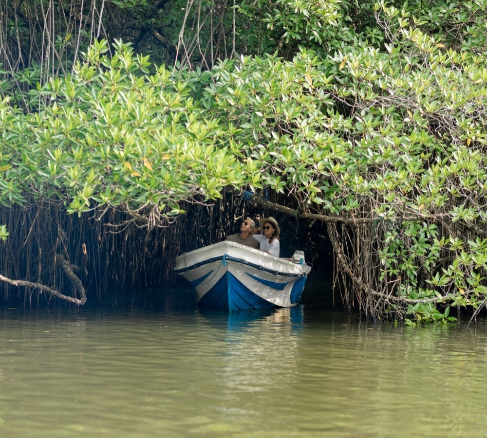 CEYLON SCENIC ESCAPE