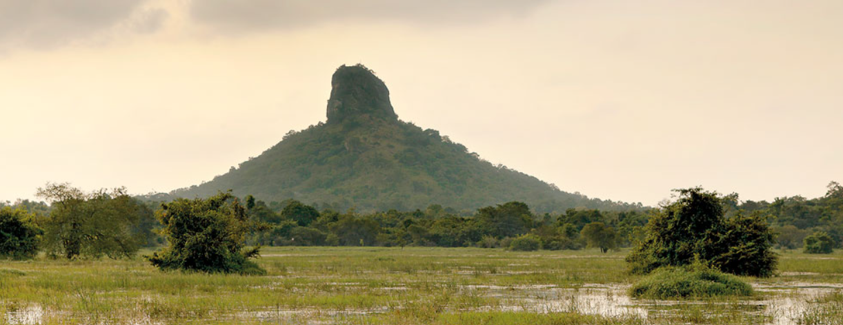 CEYLON UNCOVERED