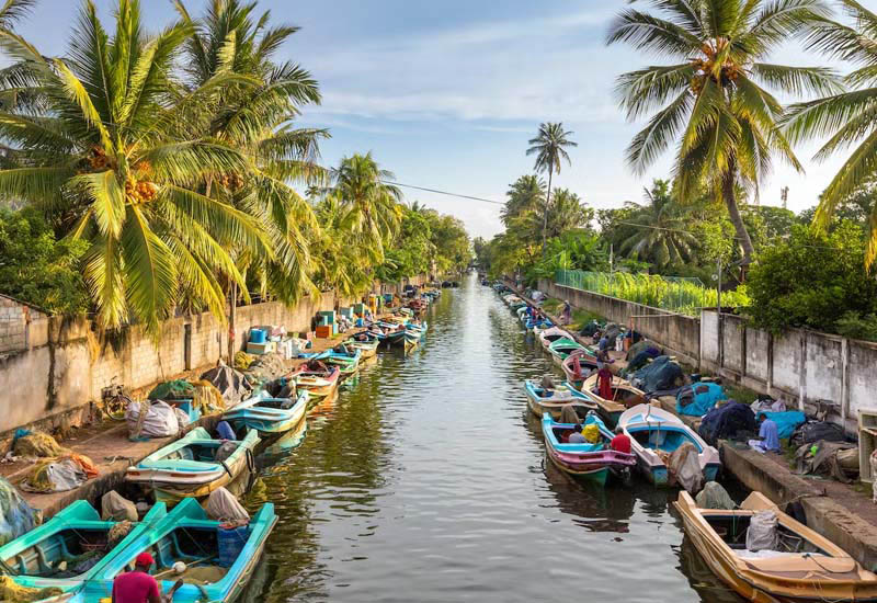 CEYLON UNFOLDED