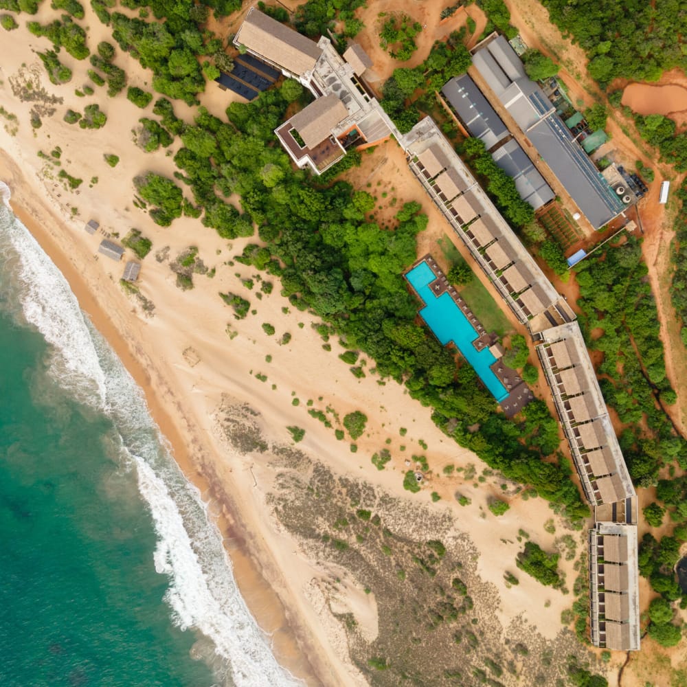 CEYLON COAST TO WILD