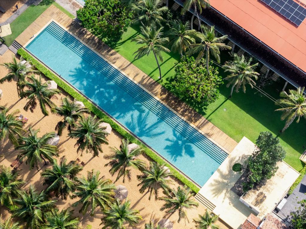 644821082